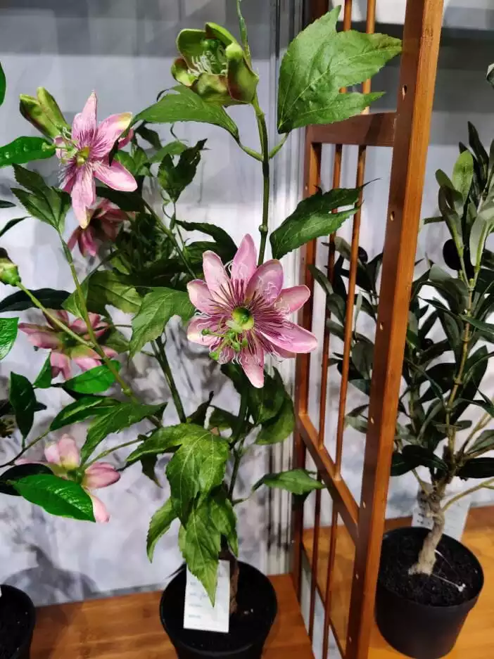 Photograph of Artificial Plants & Trees & Bonsai & Flowers -  up-close-shot (02)